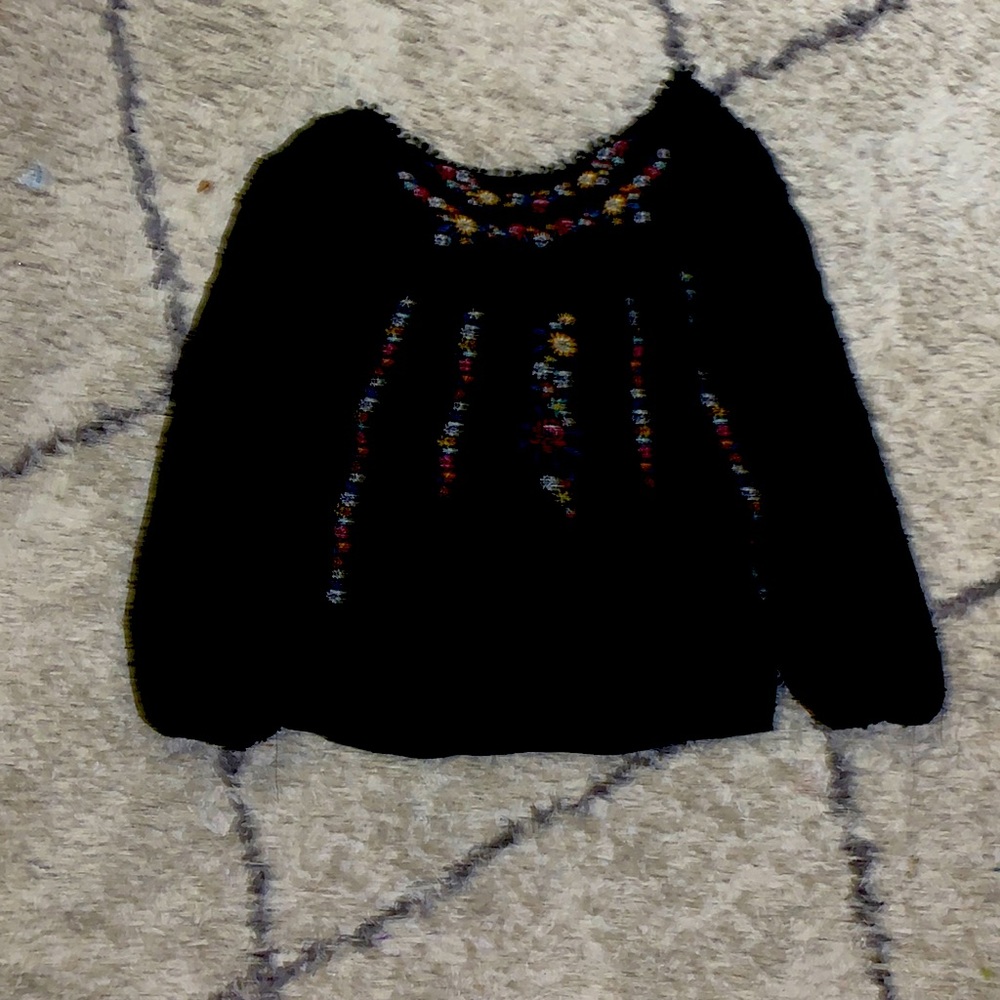 Long sleeve embroidered top